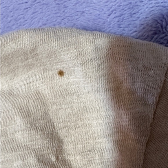 Ann Taylor Beige Sequin Short Sleeve Top - Picture 7 of 7